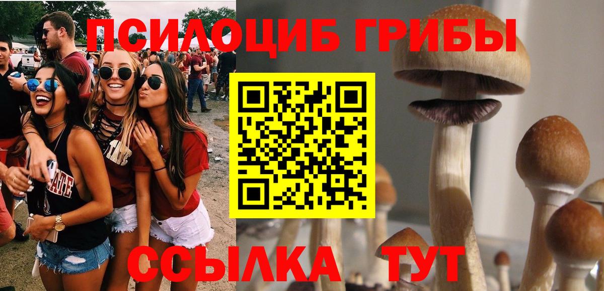 Галлюциногенные грибы Psilocybe  Вход с VPN  хочу   Псилоцибиновые грибы Magic Shrooms  Улан-Удэ 